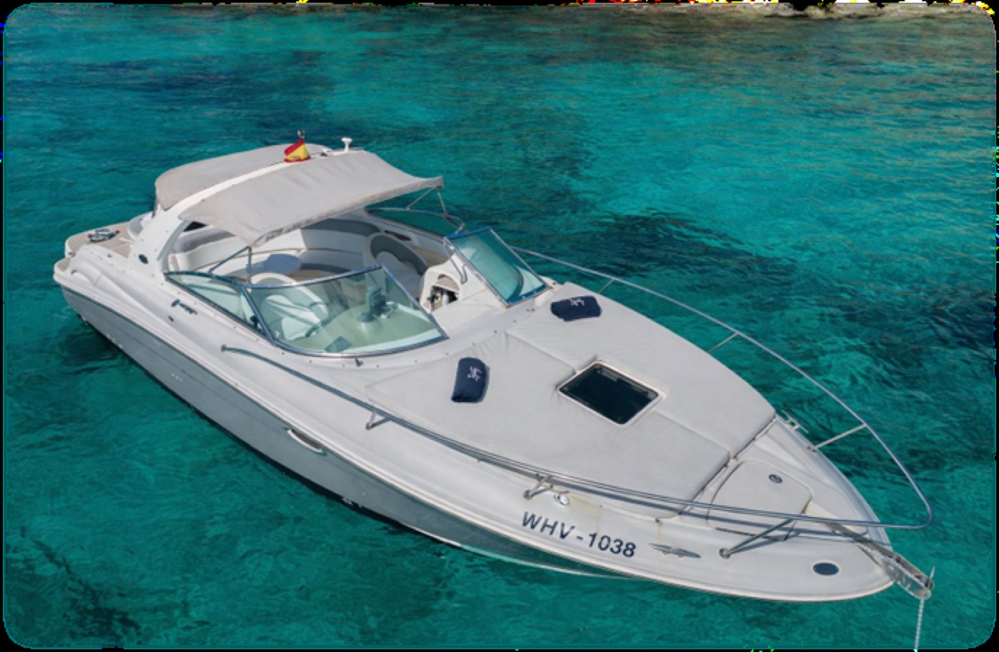 Sea Ray 295 Infinity, foto 2