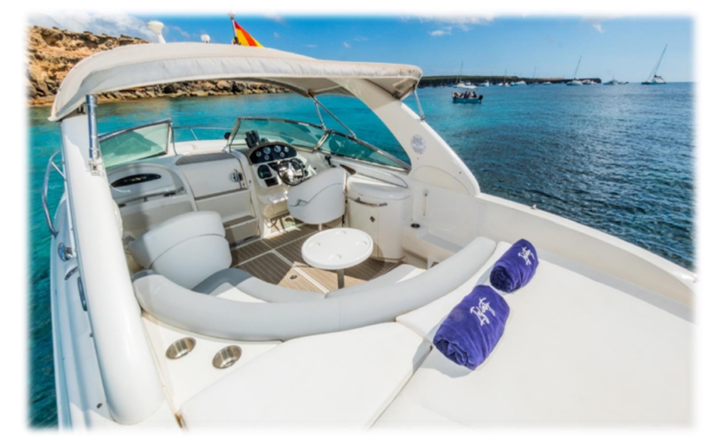 Sea Ray 295 Infinity, foto 5