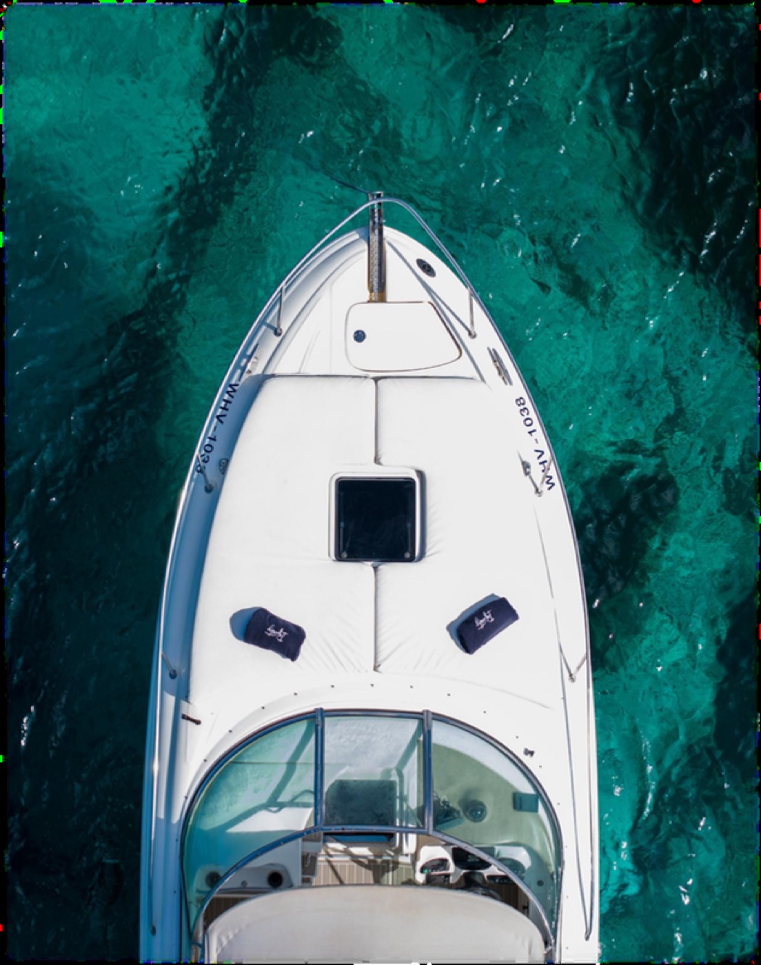 Sea Ray 295 Infinity, foto 6